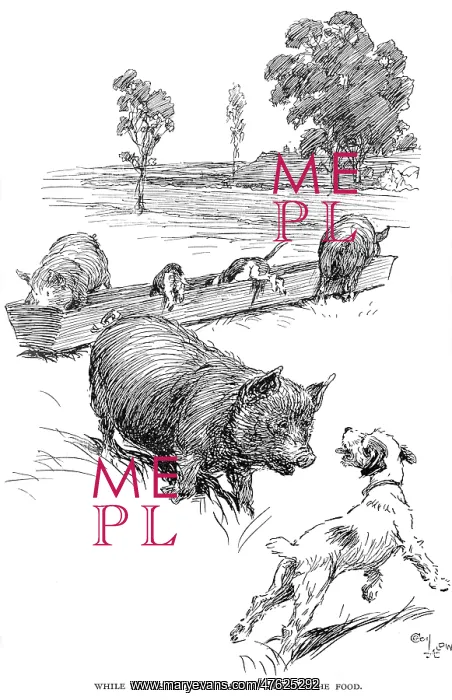: Illustration by Cecil Aldin, Hotspur the Beagle : Illustration by Cecil Aldin, Hotspur the Beagle