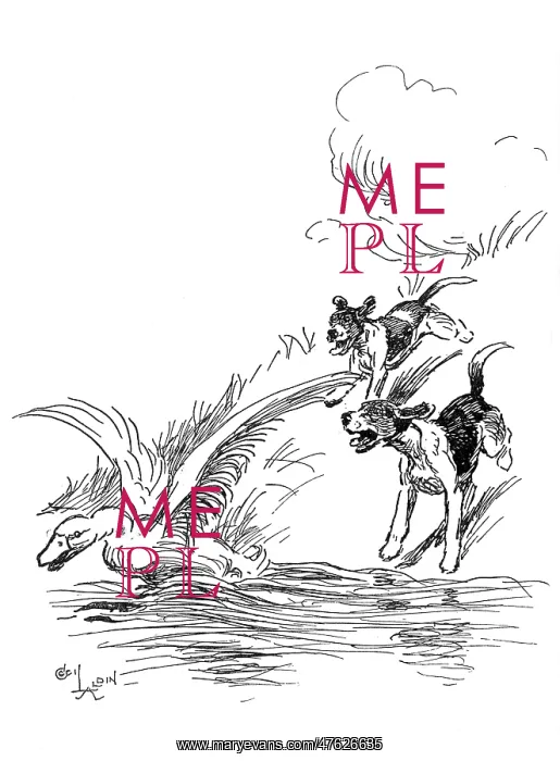 : Illustration by Cecil Aldin, Hotspur the Beagle : Illustration by Cecil Aldin, Hotspur the Beagle