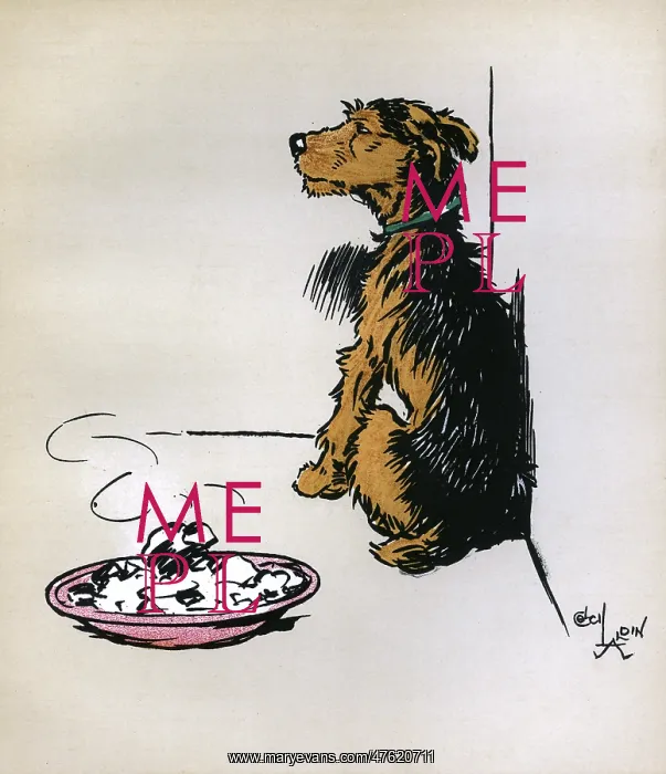 : Illustration by Cecil Aldin, Jack and Jill : Illustration by Cecil Aldin, Jack and Jill