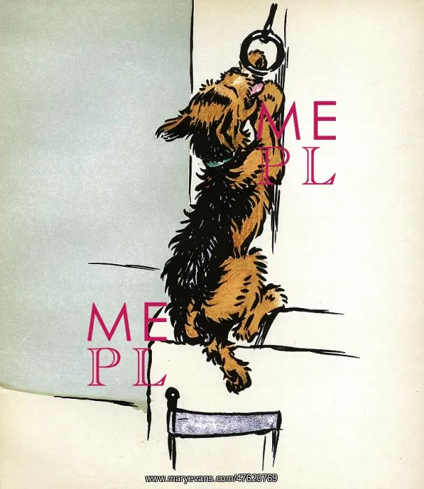 : Illustration by Cecil Aldin, Jack and Jill : Illustration by Cecil Aldin, Jack and Jill