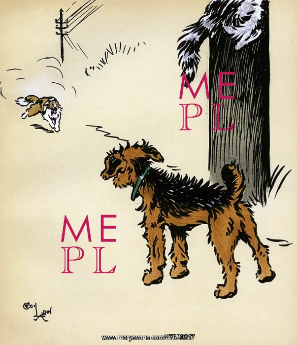 : Illustration by Cecil Aldin, Jack and Jill : Illustration by Cecil Aldin, Jack and Jill