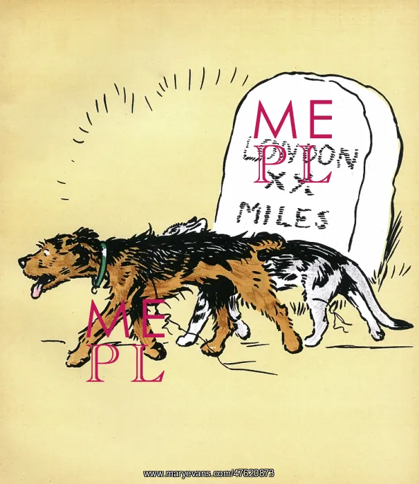 : Illustration by Cecil Aldin, Jack and Jill : Illustration by Cecil Aldin, Jack and Jill