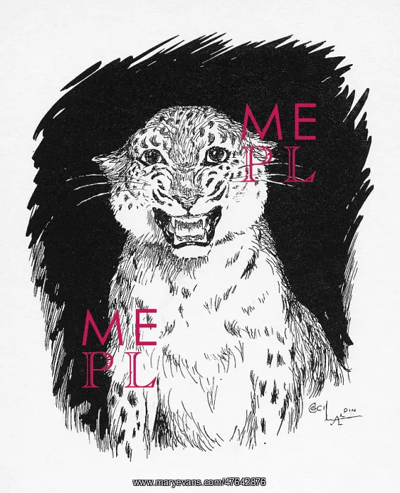  : Illustration by Cecil Aldin, The Jaguar