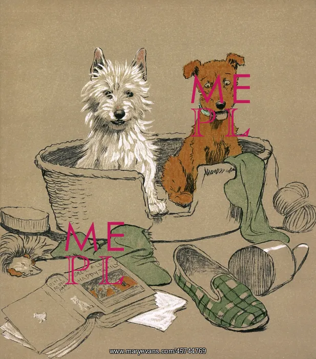: Illustration by Cecil Aldin, Mac : Illustration by Cecil Aldin, Mac