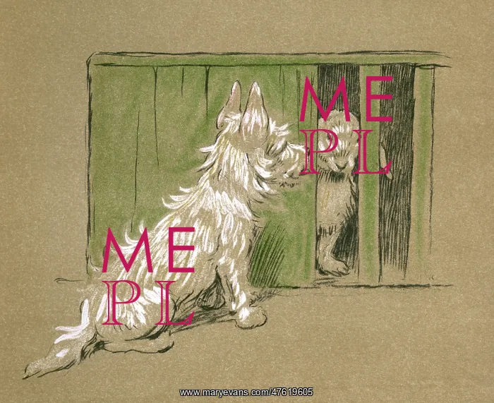 : Illustration by Cecil Aldin, Mac : Illustration by Cecil Aldin, Mac