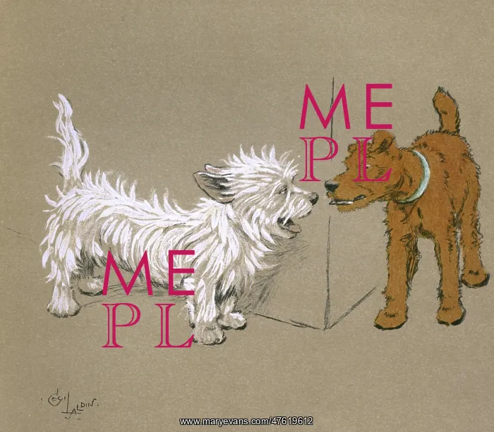 : Illustration by Cecil Aldin, Mac : Illustration by Cecil Aldin, Mac