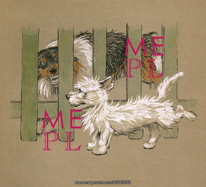 : Illustration by Cecil Aldin, Mac : Illustration by Cecil Aldin, Mac