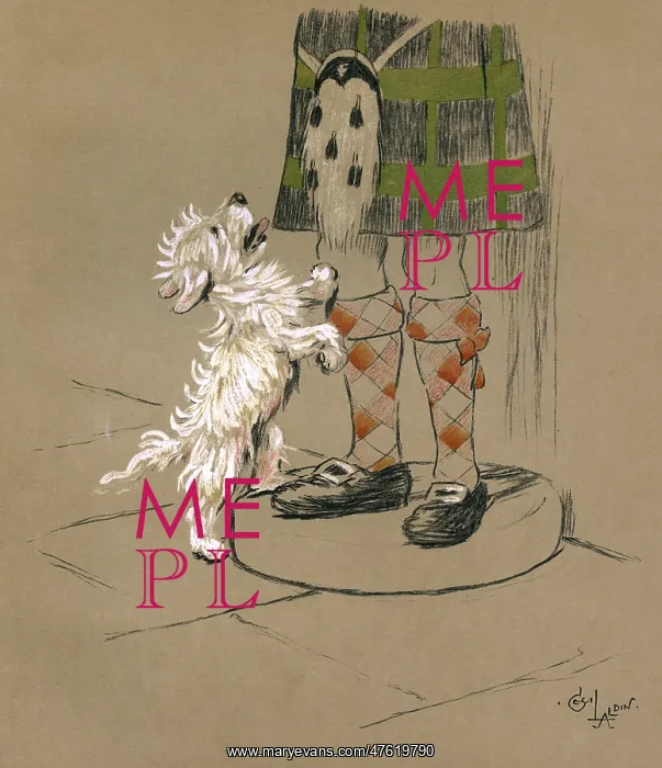 : Illustration by Cecil Aldin, Mac : Illustration by Cecil Aldin, Mac