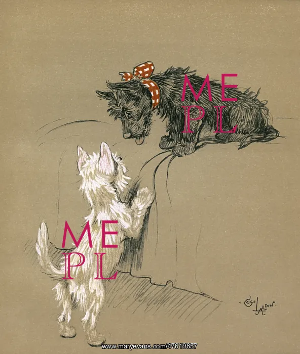 : Illustration by Cecil Aldin, Mac : Illustration by Cecil Aldin, Mac