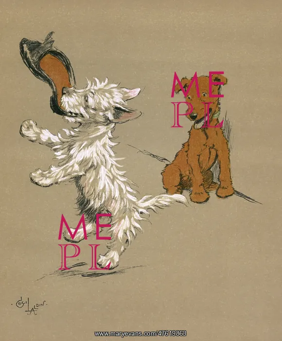 : Illustration by Cecil Aldin, Mac : Illustration by Cecil Aldin, Mac
