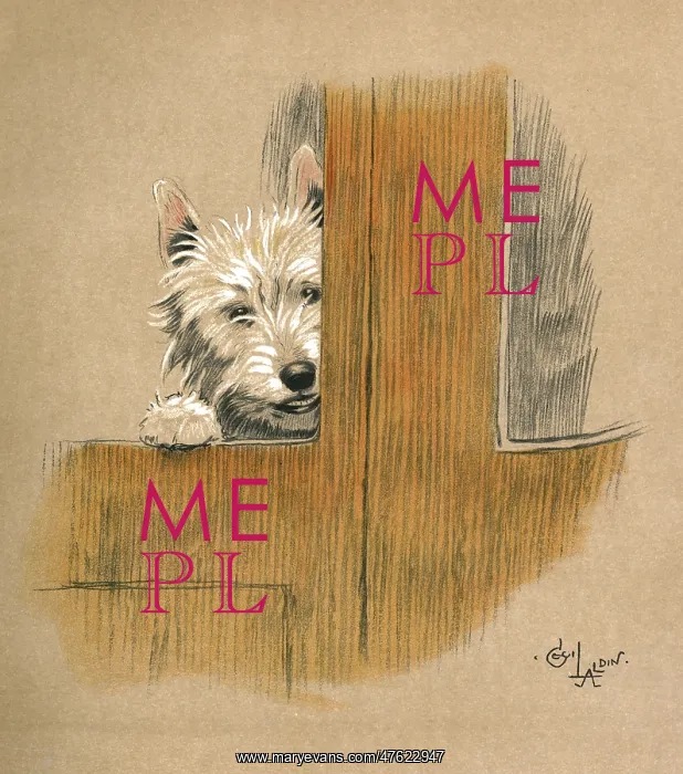 : Illustration by Cecil Aldin, Mac : Illustration by Cecil Aldin, Mac