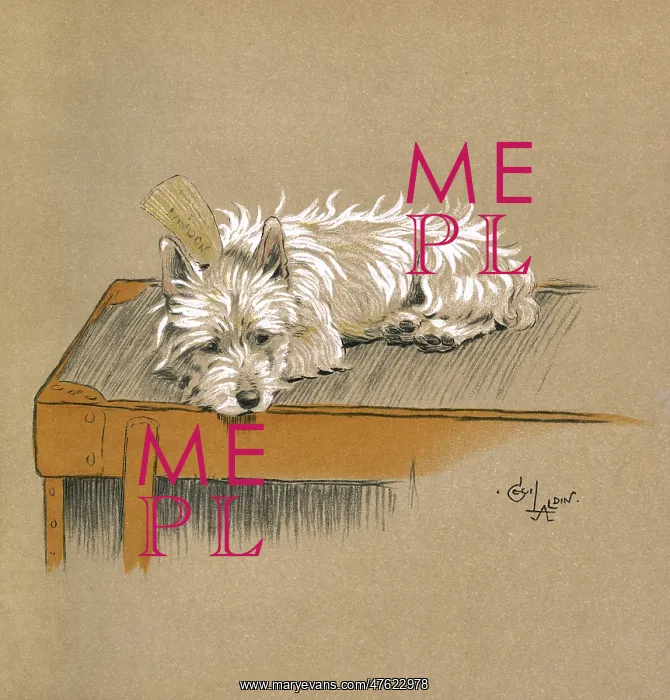: Illustration by Cecil Aldin, Mac : Illustration by Cecil Aldin, Mac