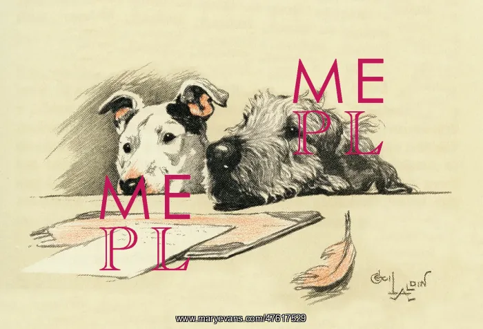 : Illustration by Cecil Aldin, Micky and Cracker : Illustration by Cecil Aldin, Micky and Cracker