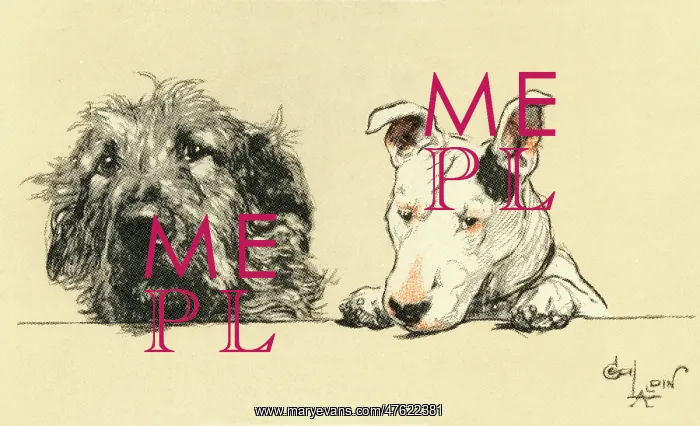 : Illustration by Cecil Aldin, Micky and Cracker : Illustration by Cecil Aldin, Micky and Cracker