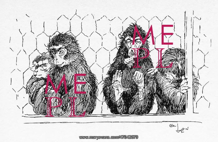: Illustration by Cecil Aldin, The Monkey House : Illustration by Cecil Aldin, The Monkey House