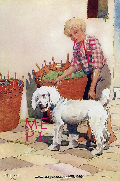 : Illustration by Cecil Aldin, Moufflou, by Ouida : Illustration by Cecil Aldin, Moufflou, by Ouida