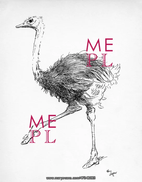  : Illustration by Cecil Aldin, The Ostrich