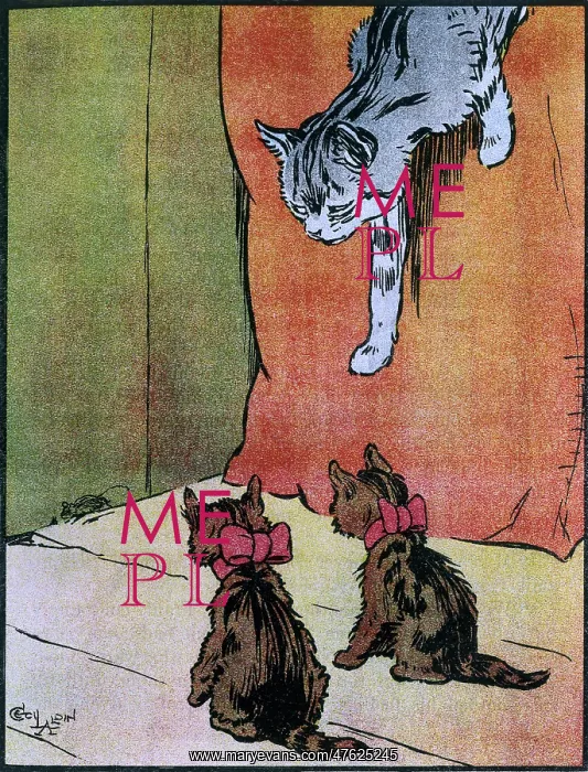 : Illustration by Cecil Aldin, My Pets and Their Ways : Illustration by Cecil Aldin, My Pets and Their Ways