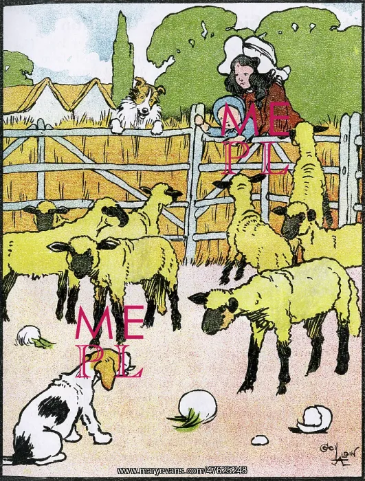 : Illustration by Cecil Aldin, My Pets and Their Ways : Illustration by Cecil Aldin, My Pets and Their Ways