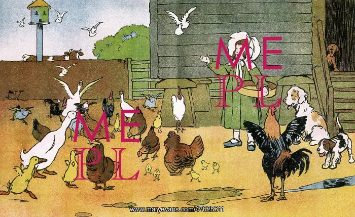 : Illustration by Cecil Aldin, My Pets and Their Ways : Illustration by Cecil Aldin, My Pets and Their Ways