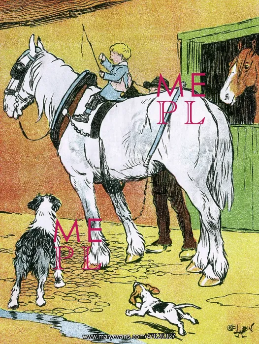 : Illustration by Cecil Aldin, My Pets and Their Ways : Illustration by Cecil Aldin, My Pets and Their Ways