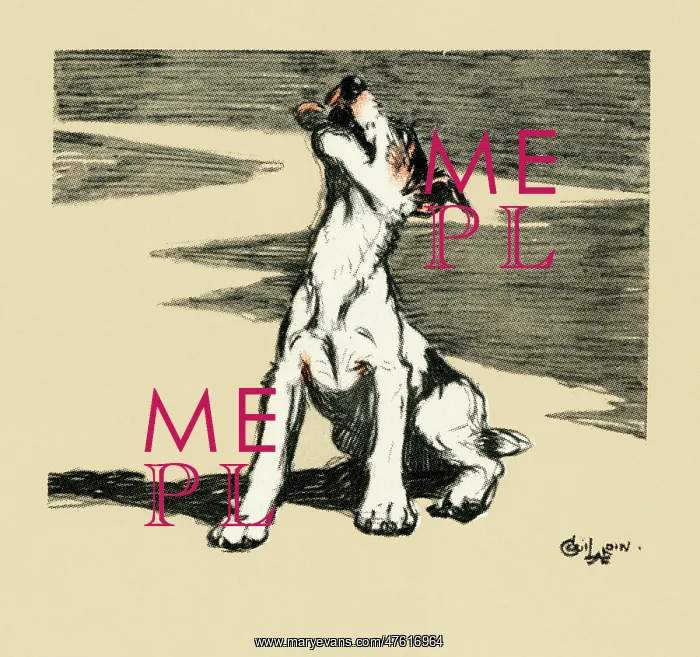 : Illustration by Cecil Aldin, puppy howling : Illustration by Cecil Aldin, puppy howling