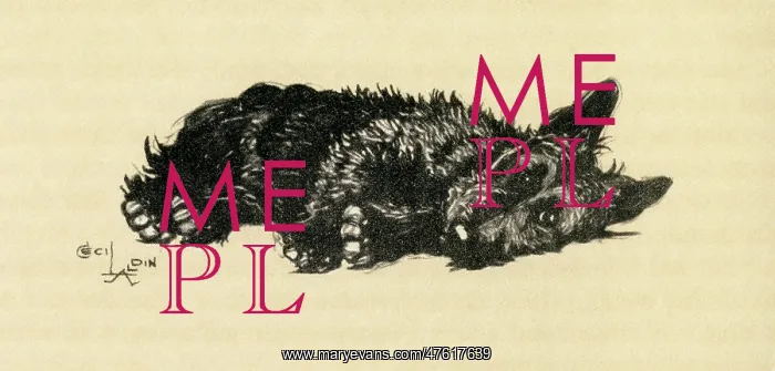 : Illustration by Cecil Aldin, Scots terrier : Illustration by Cecil Aldin, Scots terrier