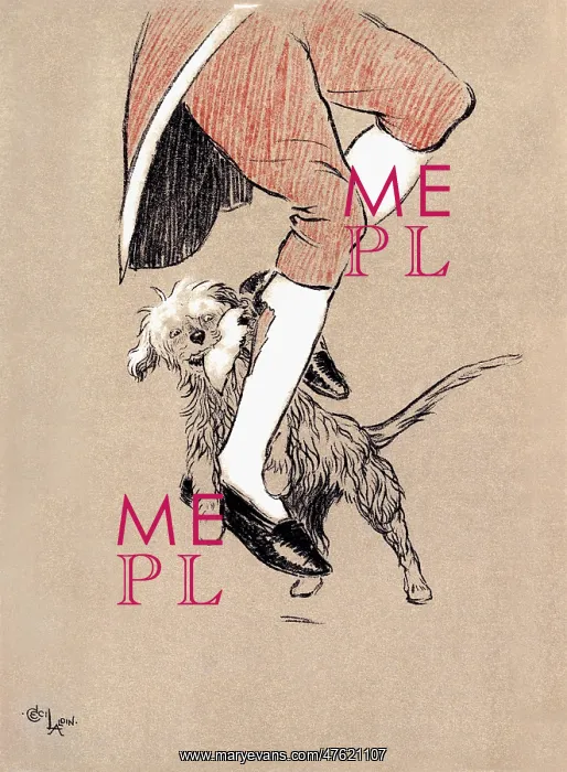: Illustration by Cecil Aldin, The Snob : Illustration by Cecil Aldin, The Snob