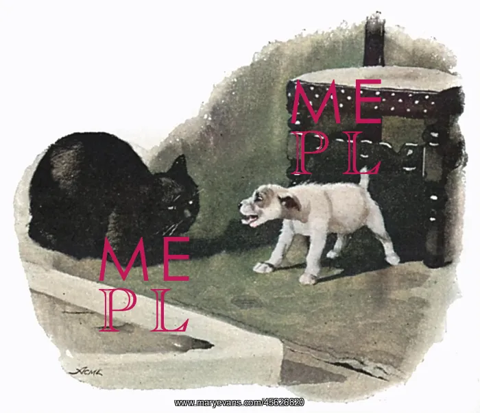 : Illustration by Cecil Aldin, Spot meets a cat : Illustration by Cecil Aldin, Spot meets a cat