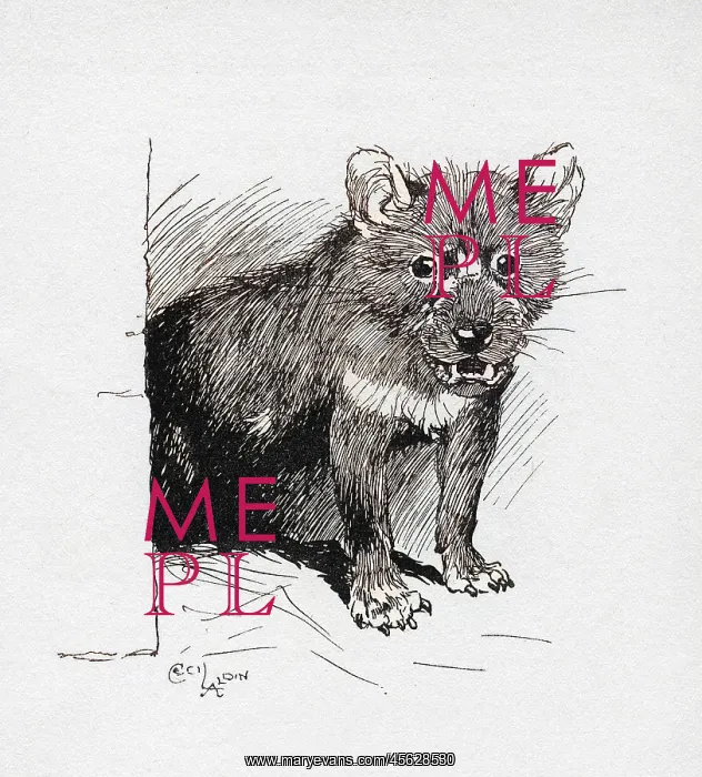  : Illustration by Cecil Aldin, The Tasmanian Devil