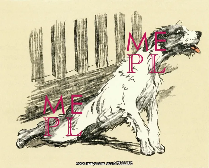 : Illustration by Cecil Aldin, terrier returning home : Illustration by Cecil Aldin, terrier returning home