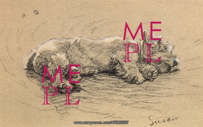 : Illustration by Cecil Aldin, Time I Was Dead : Illustration by Cecil Aldin, Time I Was Dead