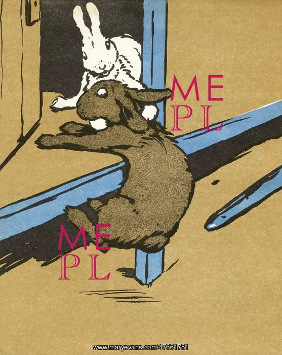 : Illustration by Cecil Aldin, White Rabbit : Illustration by Cecil Aldin, White Rabbit