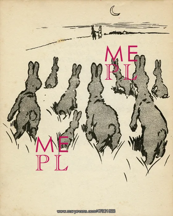 : Illustration by Cecil Aldin, White Rabbit : Illustration by Cecil Aldin, White Rabbit