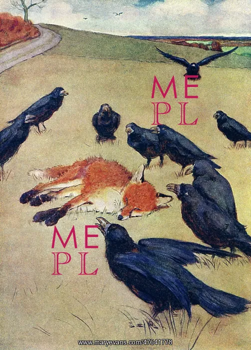 : Illustration, crows waiting for fox to die : Illustration, crows waiting for fox to die