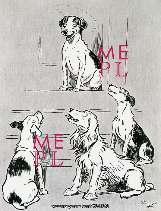 : Illustration, The Dogs of War : Illustration, The Dogs of War