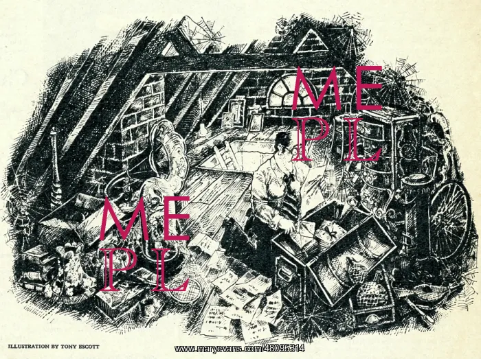 : Illustration, The English Loft : Illustration, The English Loft