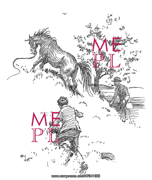 : Illustration, escaped pony : Illustration, escaped pony