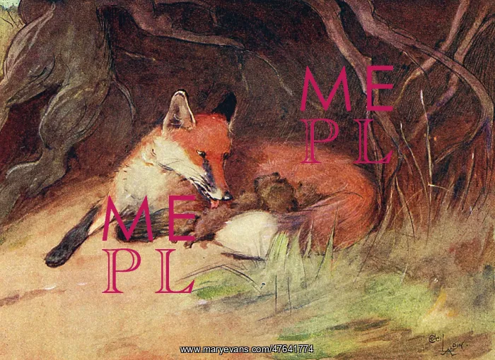 : Illustration, female fox with cubs : Illustration, female fox with cubs
