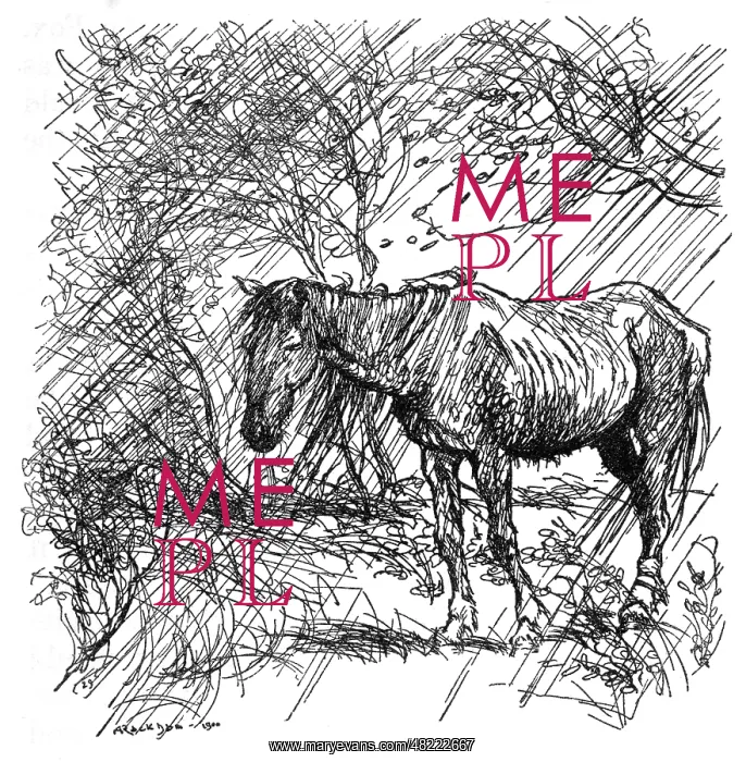 : Illustration, The Fox and the Horse : Illustration, The Fox and the Horse