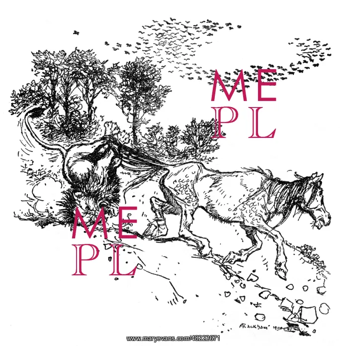 : Illustration, The Fox and the Horse : Illustration, The Fox and the Horse