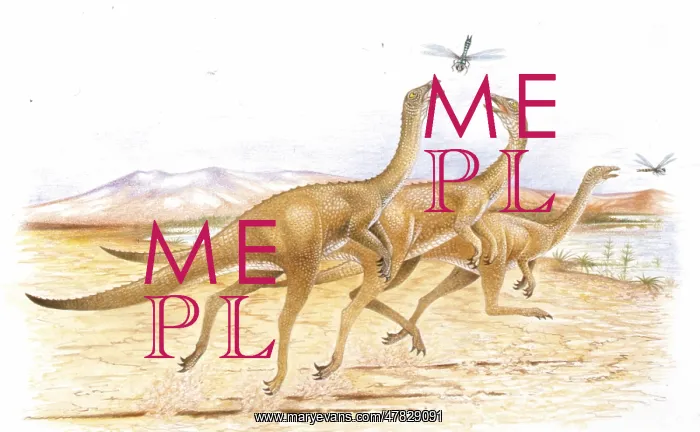: Illustration of Gallimimus catching insects : Illustration of Gallimimus catching insects