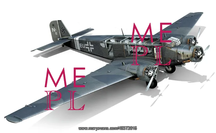 : Illustration of the German transport aircraft : Illustration of the German transport aircraft