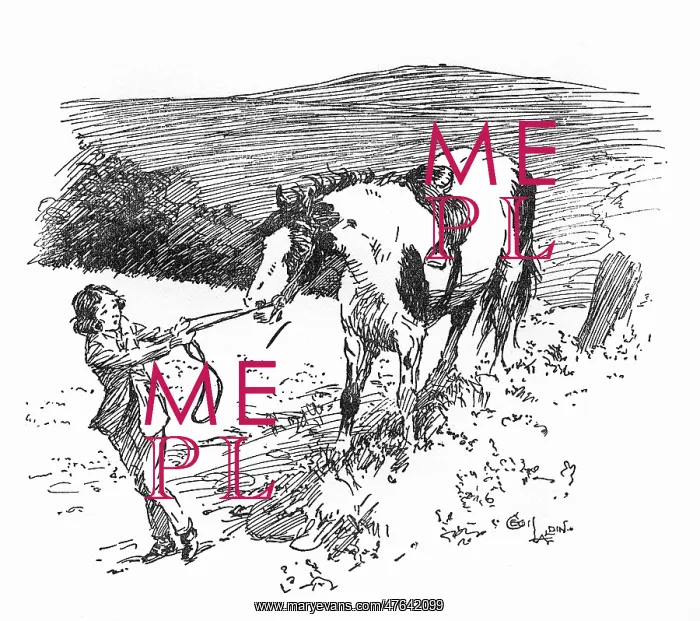 : Illustration, girl pulling at Joker's reins : Illustration, girl pulling at Joker's reins