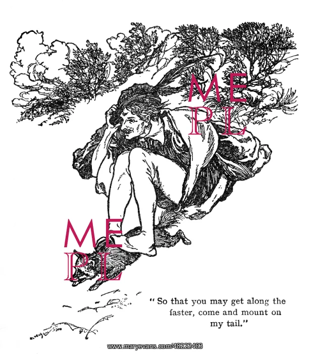: Illustration, The Golden Bird : Illustration, The Golden Bird