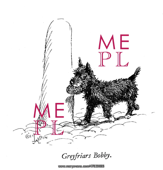 : Illustration of Greyfriars Bobby by Cecil Aldin : Illustration of Greyfriars Bobby by Cecil Aldin