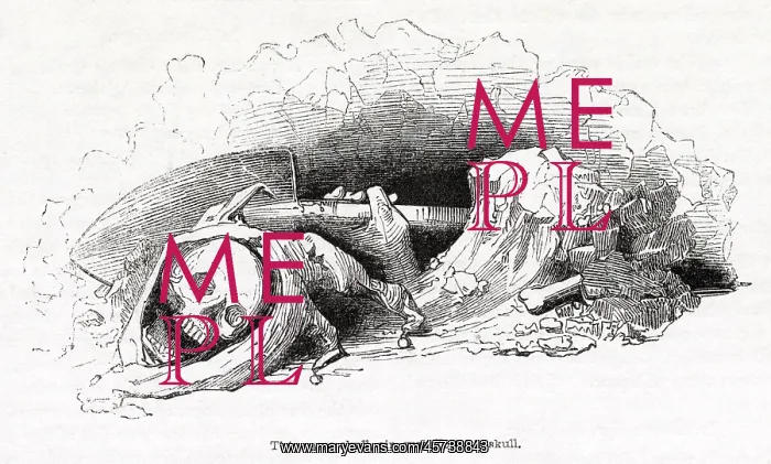 : Illustration, Hamlet, by William Shakespeare : Illustration, Hamlet, by William Shakespeare