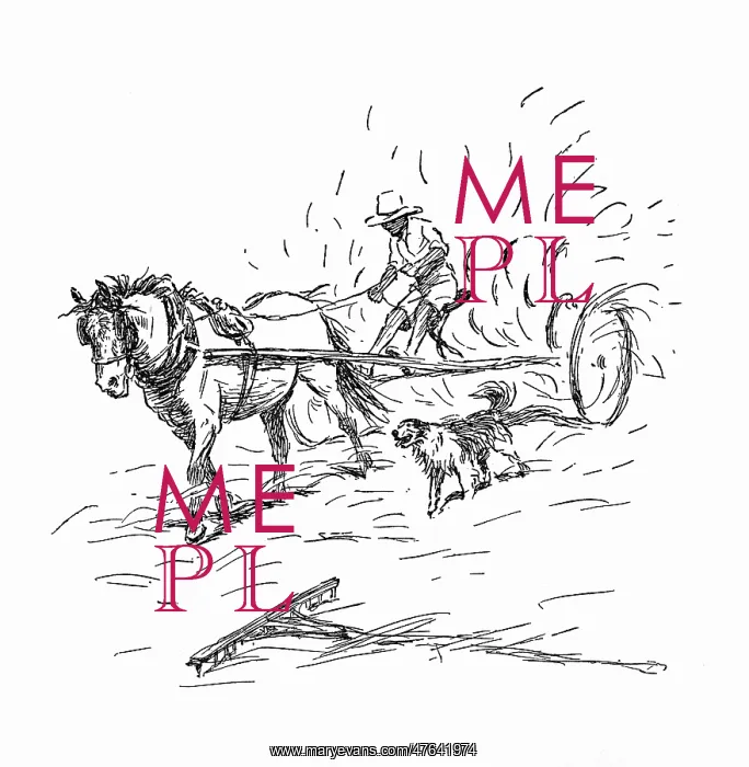 : Illustration, haymaking : Illustration, haymaking