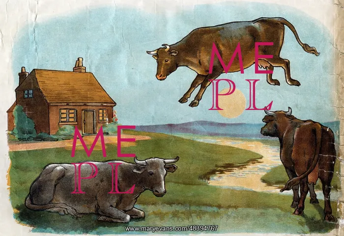 : Illustration, Hey Diddle Diddle : Illustration, Hey Diddle Diddle
