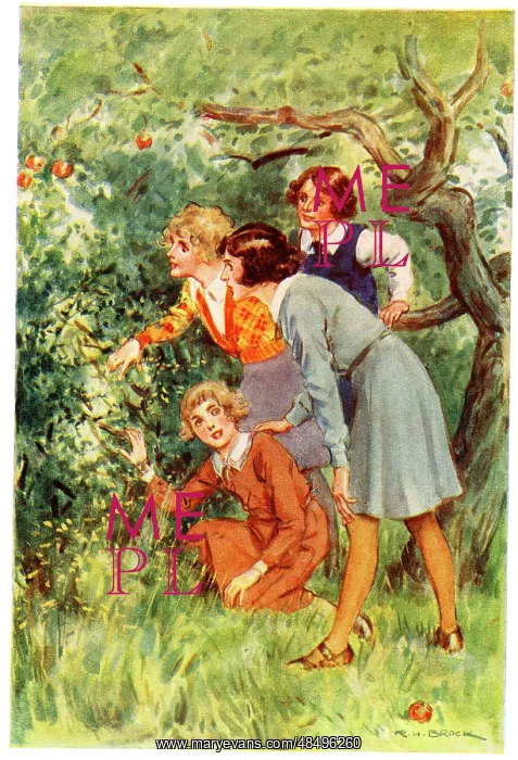  : Illustration, Hide and Seek, by Richard H Brock